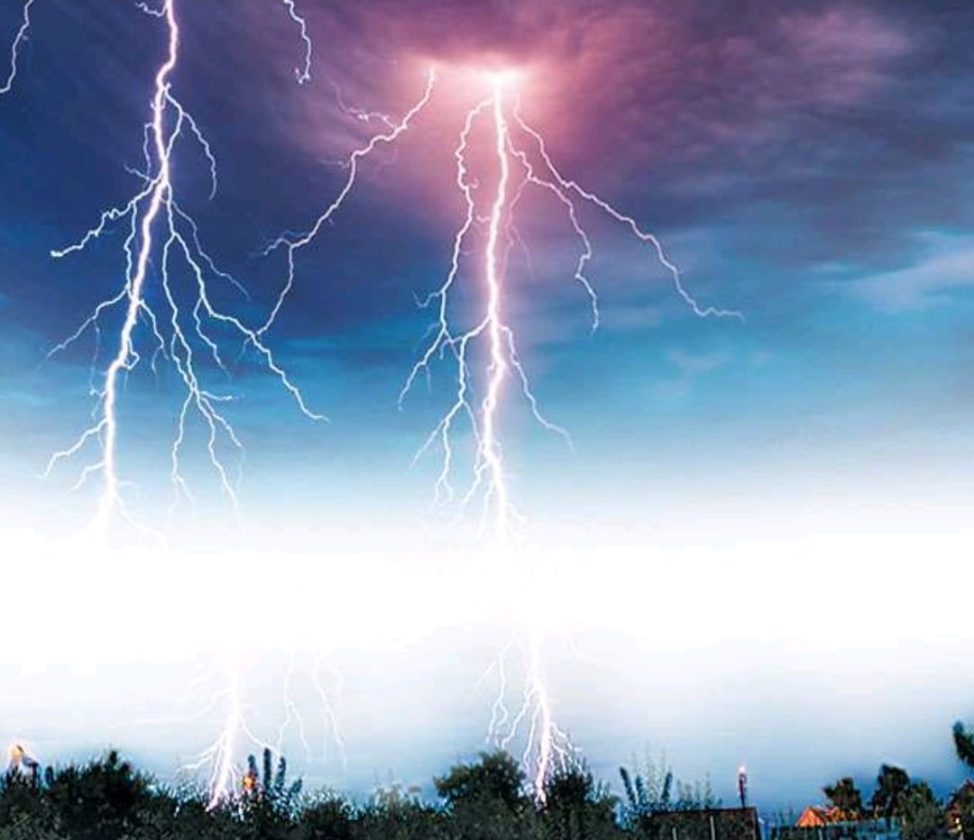 WhatsApp Image 2025-04-04 at 20.13.58_8dab1b4b