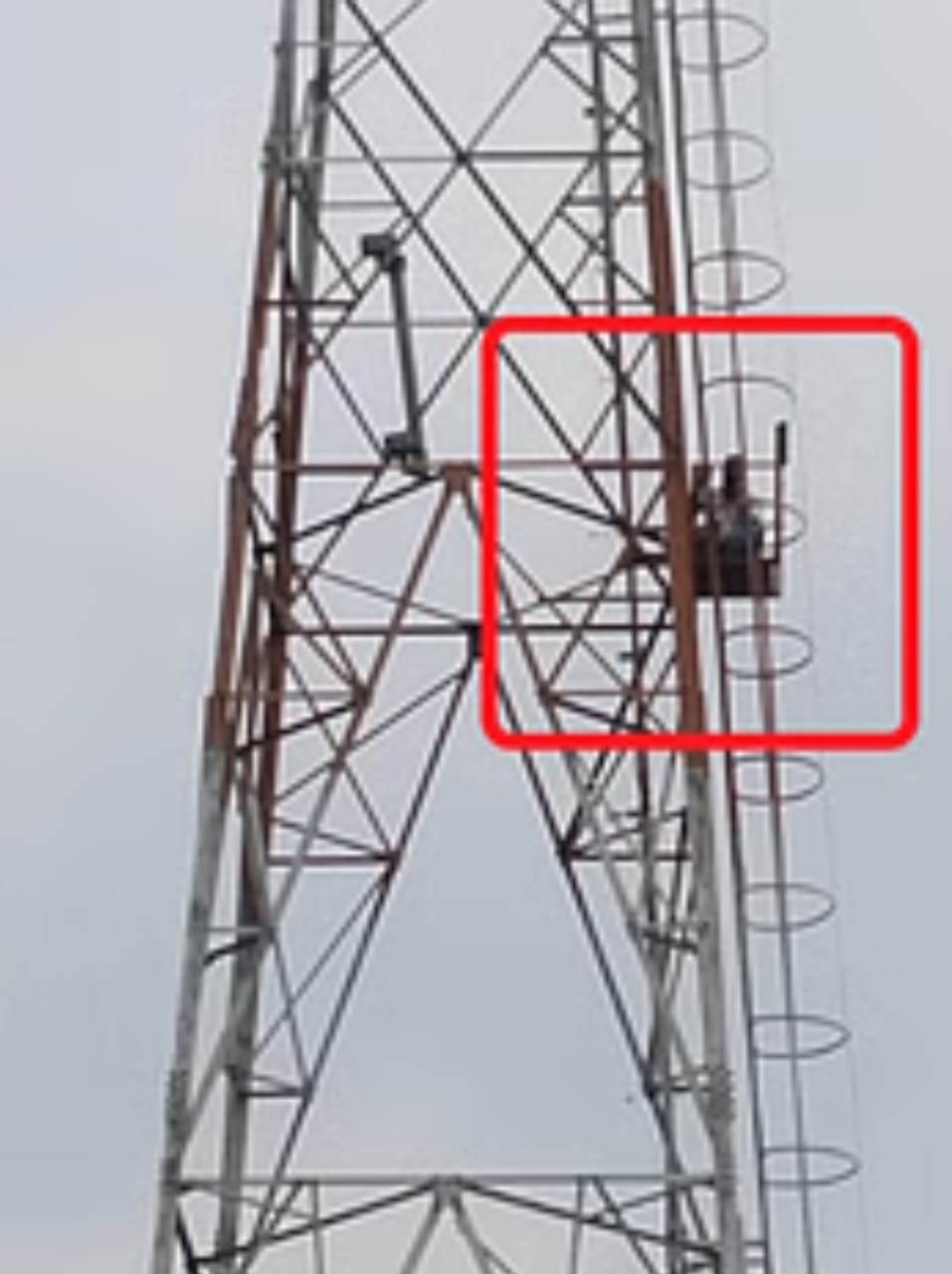 IMG-20250525-WA0024