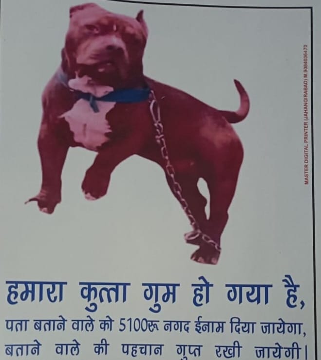 WhatsApp Image 2025-06-05 at 4.45.26 PM