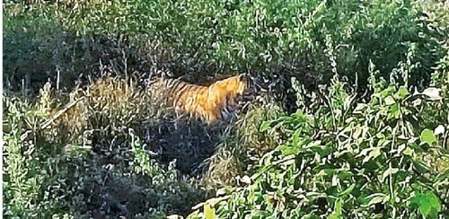 IMG-20241218-WA0169_1734507102349_1734507113261