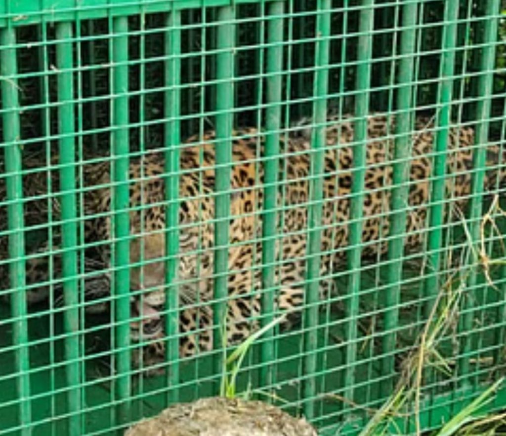 IMG-20250730-WA0017