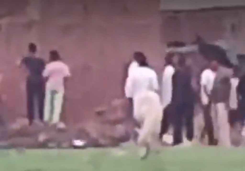 Screenshot_2025-07-21-21-00-40-47_0b2fce7a16bf2b728d6ffa28c8d60efb