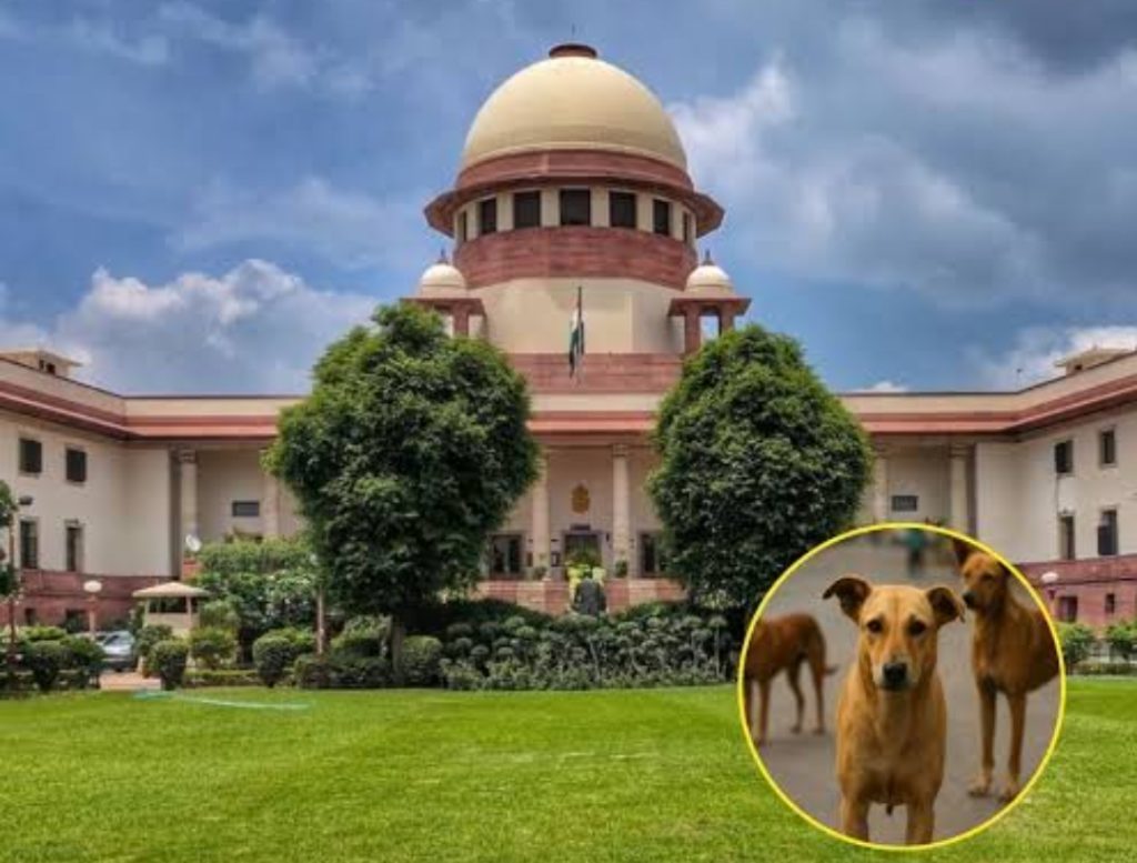 Screenshot_2025-08-22-14-55-15-31_680d03679600f7af0b4c700c6b270fe7