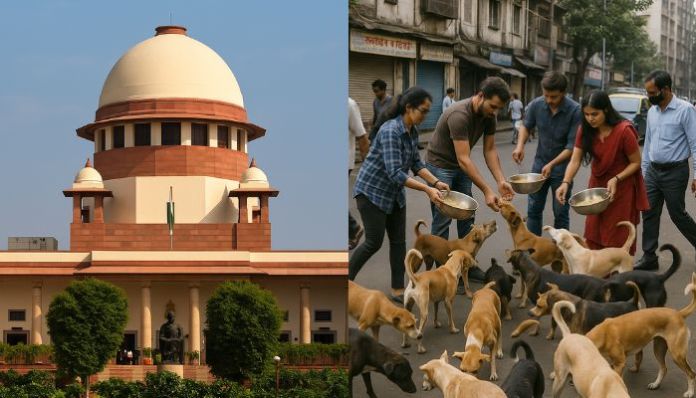 supreme-court-stray-dogs