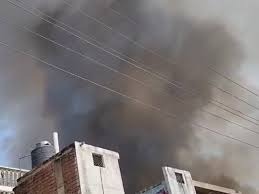 WhatsApp Image 2025-10-19 at 2.04.45 PM