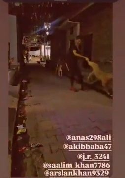 WhatsApp Image 2025-10-26 at 7.15.46 PM