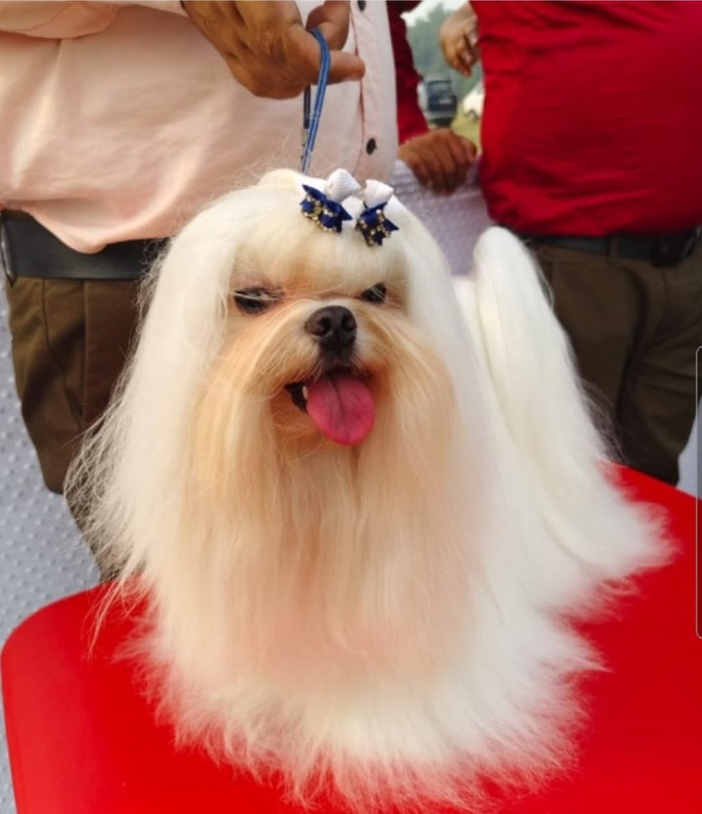 WhatsApp Image 2025-11-02 at 7.57.17 PM