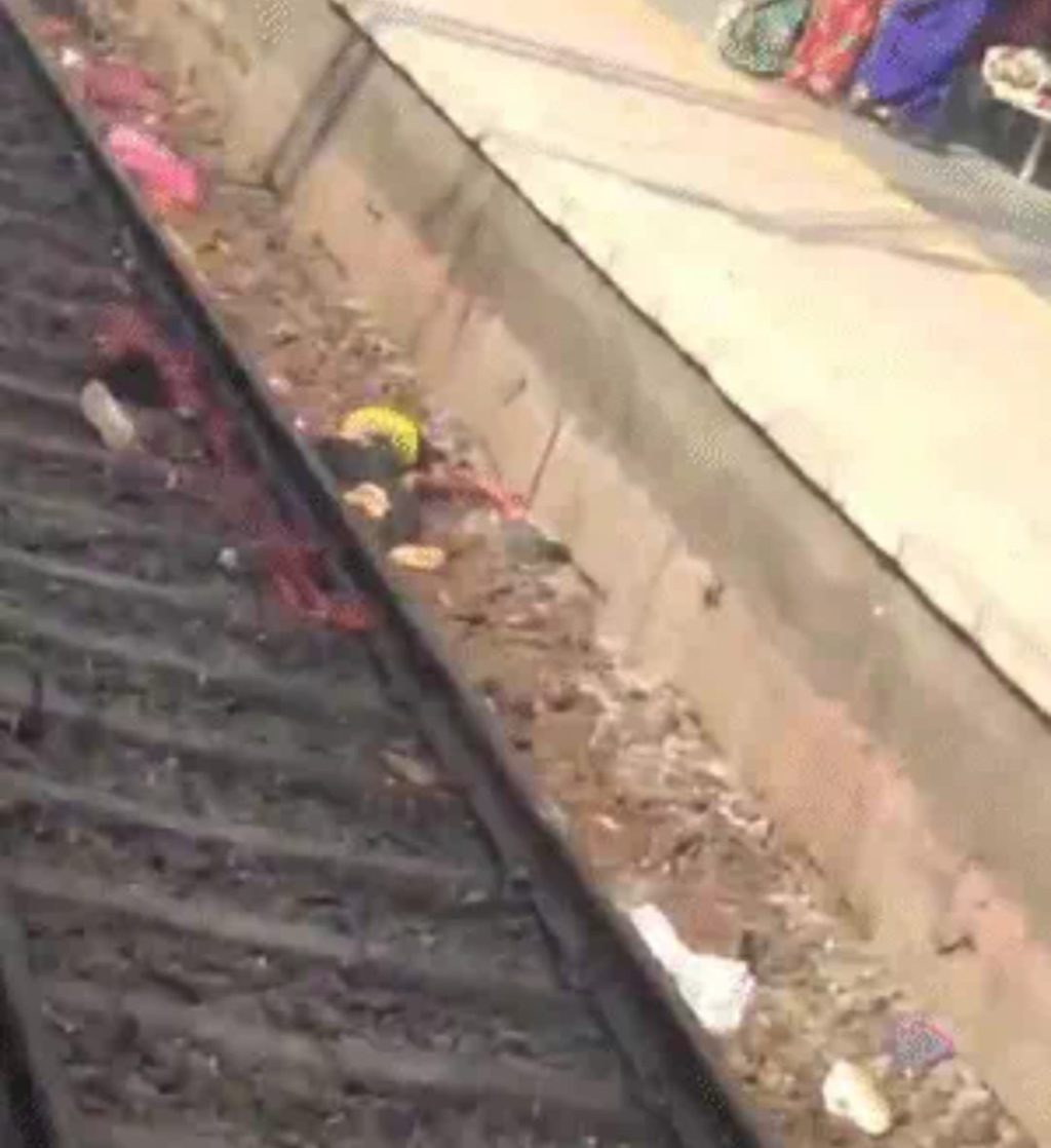 WhatsApp Image 2025-11-05 at 12.37.56 PM