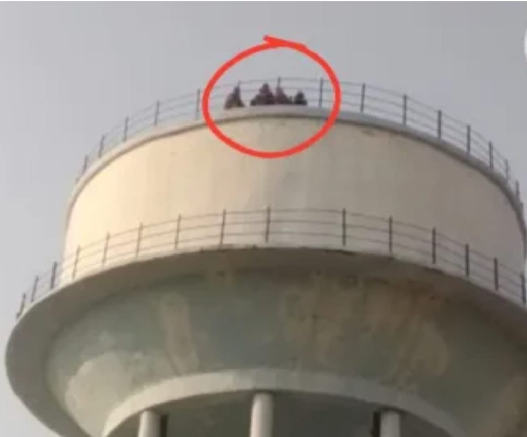 WhatsApp Image 2025-11-06 at 4.24.31 PM