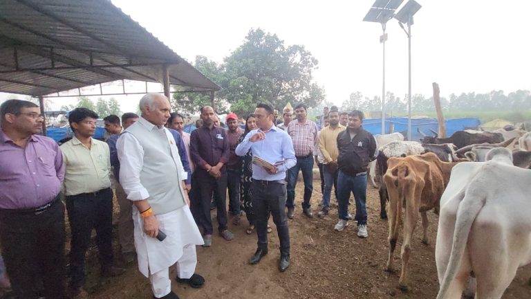 WhatsApp Image 2025-11-07 at 7.27.22 PM