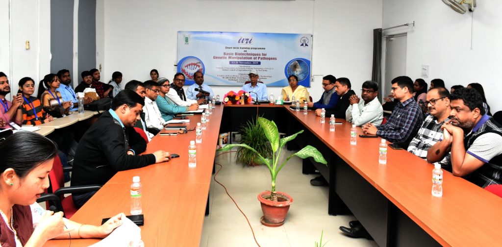 WhatsApp Image 2025-11-12 at 7.04.44 PM