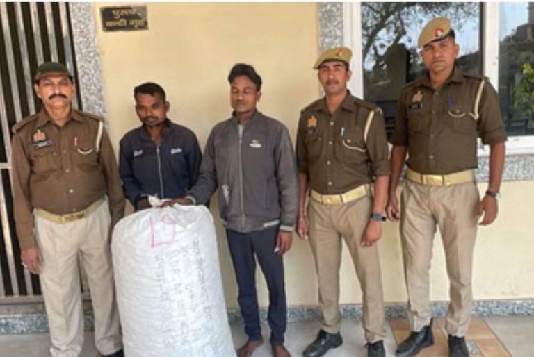 WhatsApp Image 2025-11-15 at 5.59.58 PM