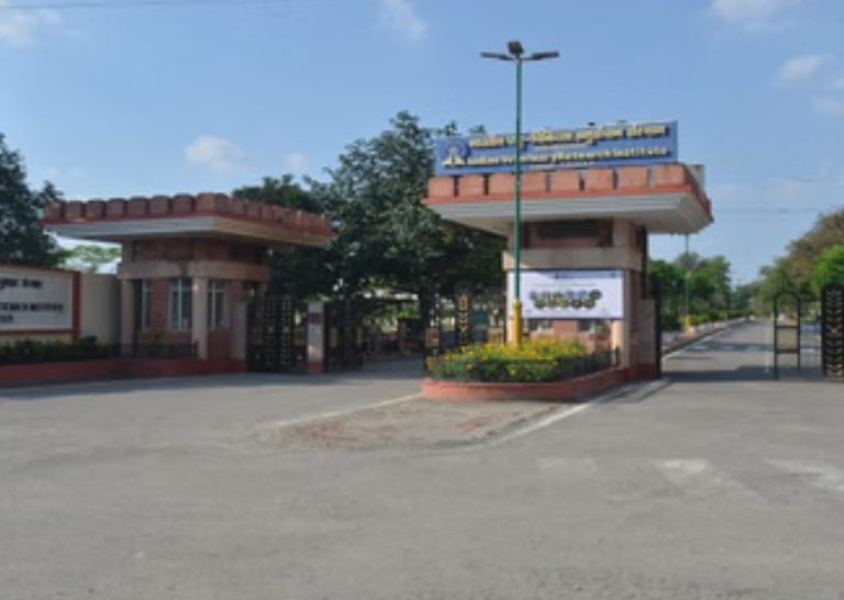 WhatsApp Image 2025-11-20 at 7.24.33 PM