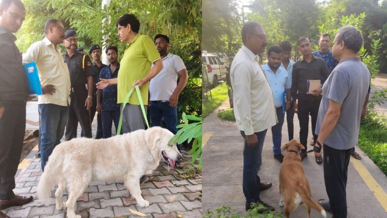 WhatsApp Image 2025-11-21 at 8.24.40 PM (1)