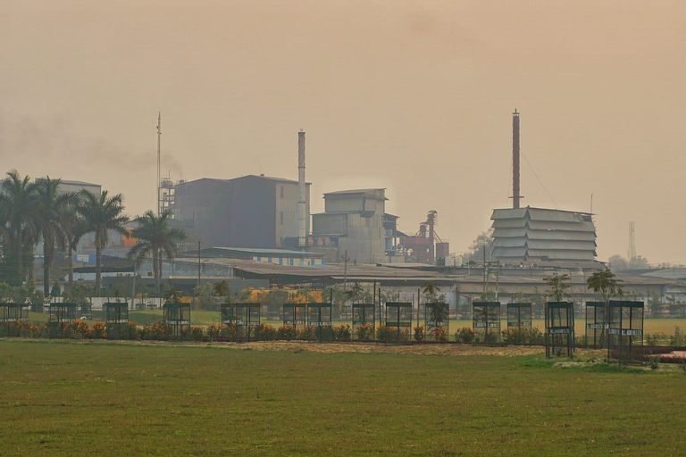 WhatsApp Image 2025-11-22 at 5.00.55 PM