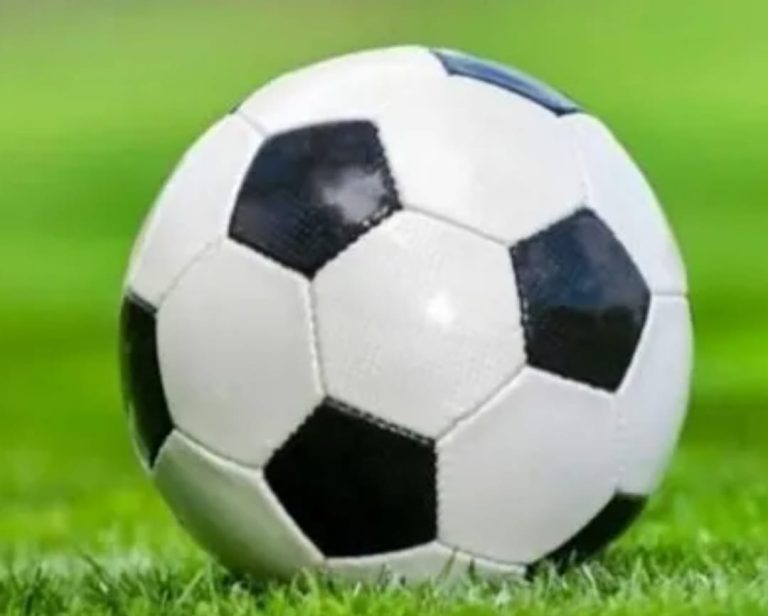 WhatsApp Image 2025-11-22 at 5.59.06 PM