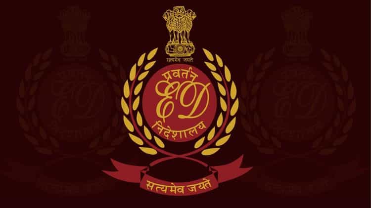 WhatsApp Image 2025-11-24 at 5.53.11 PM