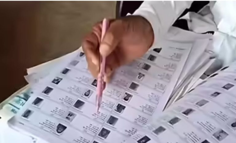 WhatsApp Image 2025-11-25 at 9.54.56 AM