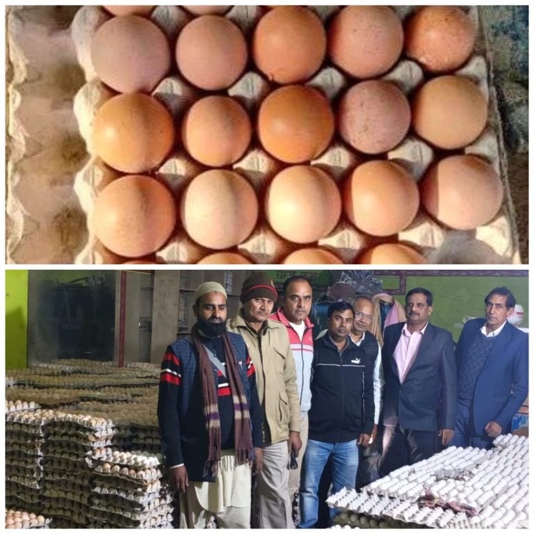 WhatsApp Image 2025-11-27 at 4.30.38 PM