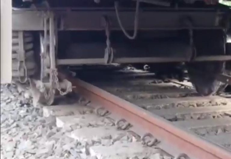 WhatsApp Image 2025-11-27 at 6.16.32 PM