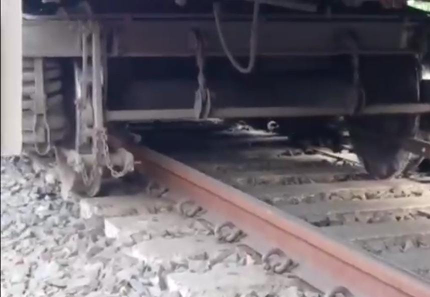 WhatsApp Image 2025-11-27 at 6.16.32 PM