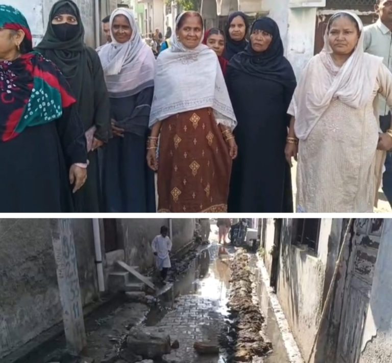 WhatsApp Image 2025-11-29 at 2.43.28 PM