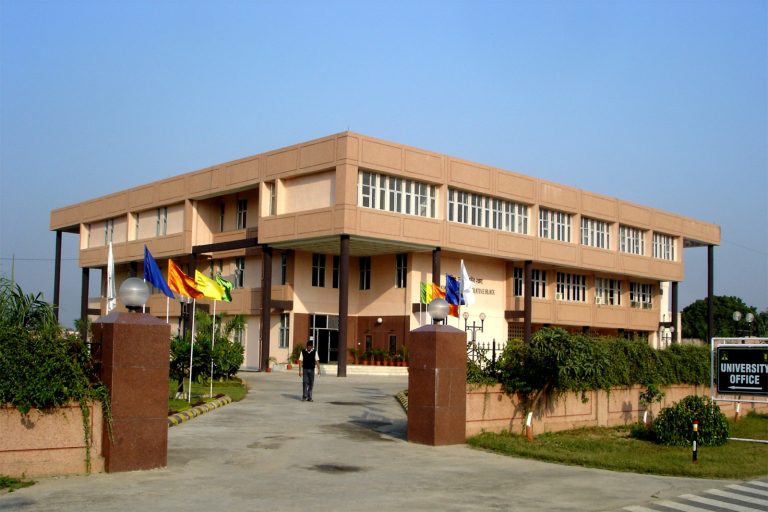 WhatsApp Image 2025-11-30 at 5.57.57 PM