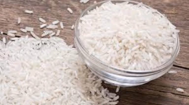 WhatsApp Image 2025-12-01 at 7.00.09 PM