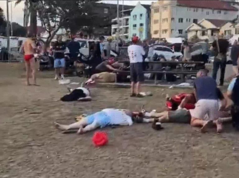 WhatsApp Image 2025-12-14 at 6.54.19 PM