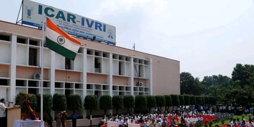 WhatsApp Image 2025-12-15 at 6.34.41 PM