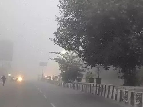 WhatsApp Image 2025-12-17 at 11.22.52 AM