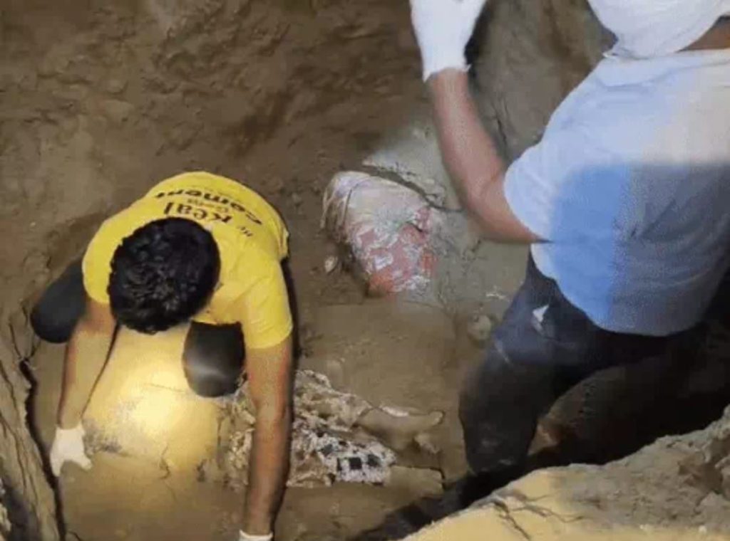 WhatsApp Image 2025-12-17 at 9.57.53 AM