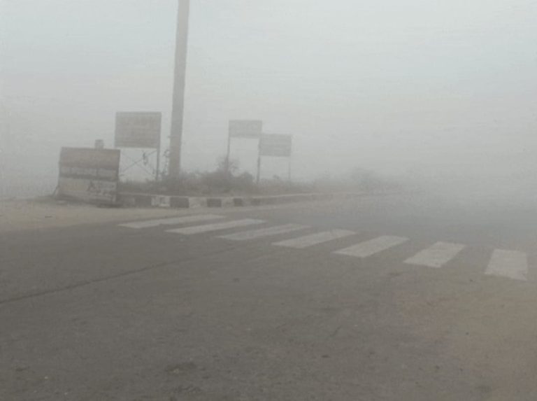 WhatsApp Image 2025-12-19 at 7.03.25 PM