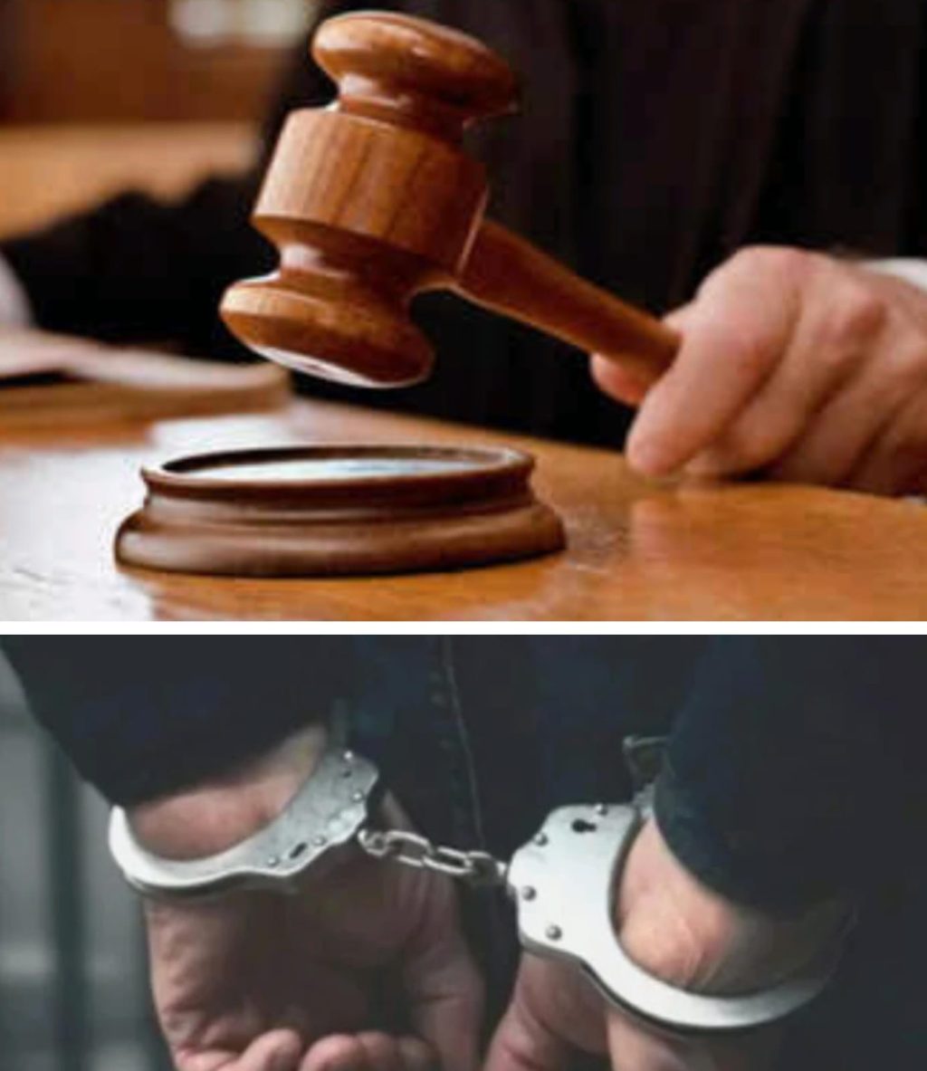 WhatsApp Image 2025-12-19 at 7.05.29 PM