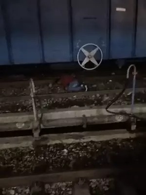 WhatsApp Image 2025-12-26 at 2.01.20 PM