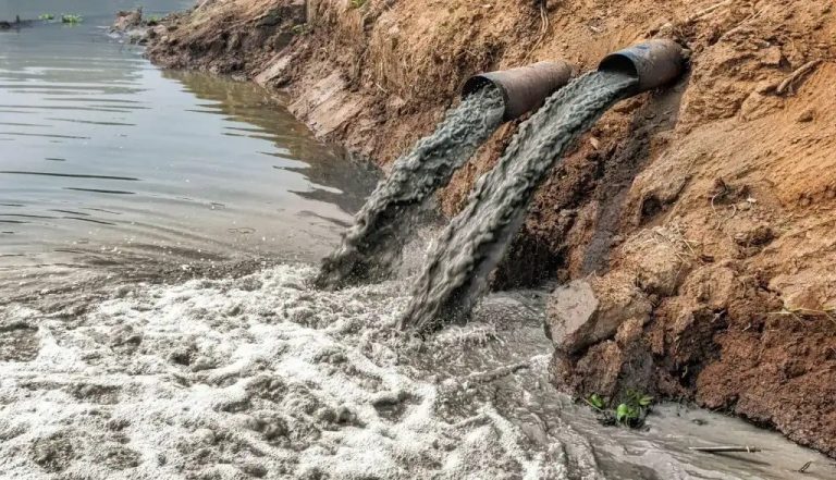 WhatsApp Image 2026-01-08 at 5.12.43 PM