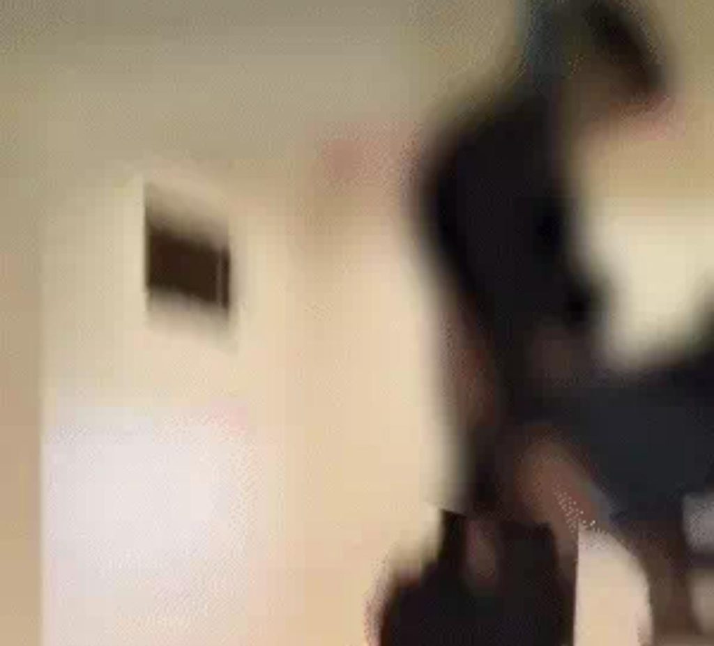 WhatsApp Image 2026-01-14 at 11.51.47 AM