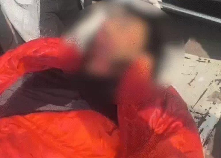 WhatsApp Image 2026-01-14 at 6.29.09 PM