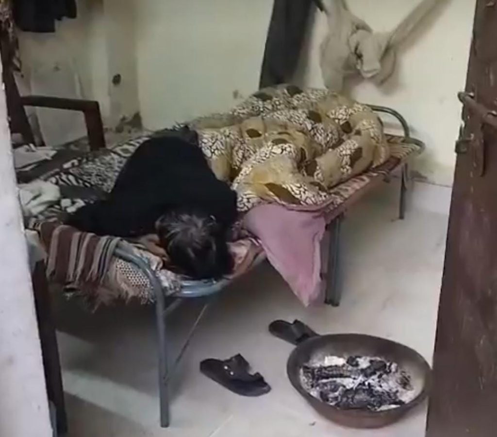 WhatsApp Image 2026-01-15 at 5.19.45 PM