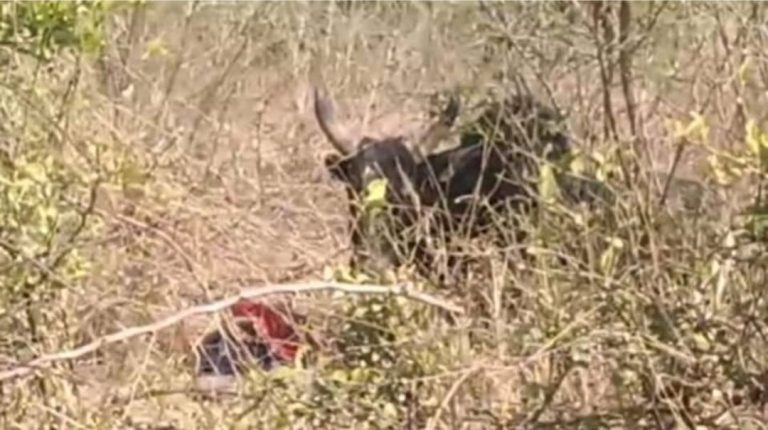 WhatsApp Image 2026-01-25 at 6.46.22 PM (1)