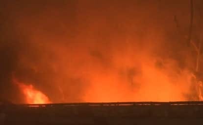 WhatsApp Image 2026-02-06 at 8.09.12 PM