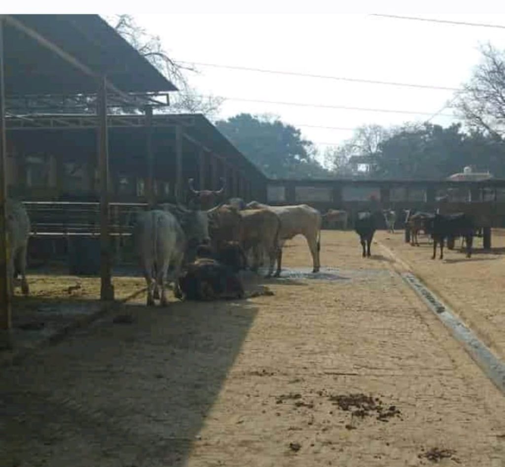 WhatsApp Image 2026-02-14 at 6.52.34 PM