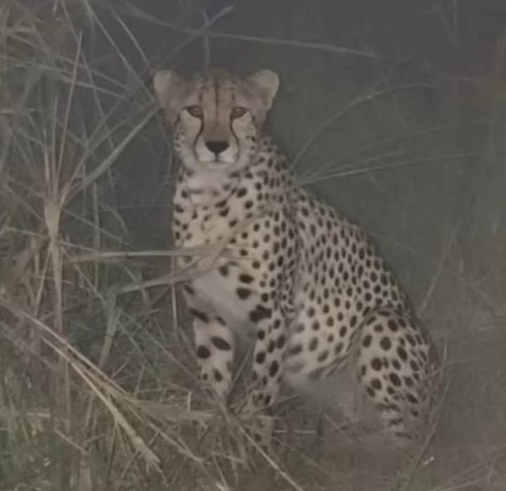 WhatsApp Image 2026-02-16 at 9.17.52 PM (1)