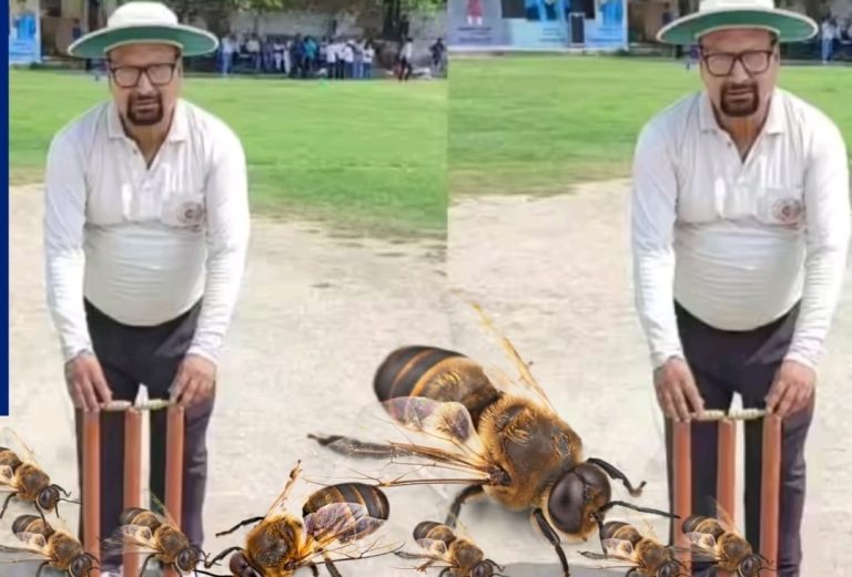 WhatsApp Image 2026-02-19 at 1.58.31 PM