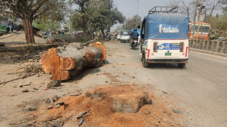 WhatsApp Image 2026-02-24 at 2.01.53 PM (1)