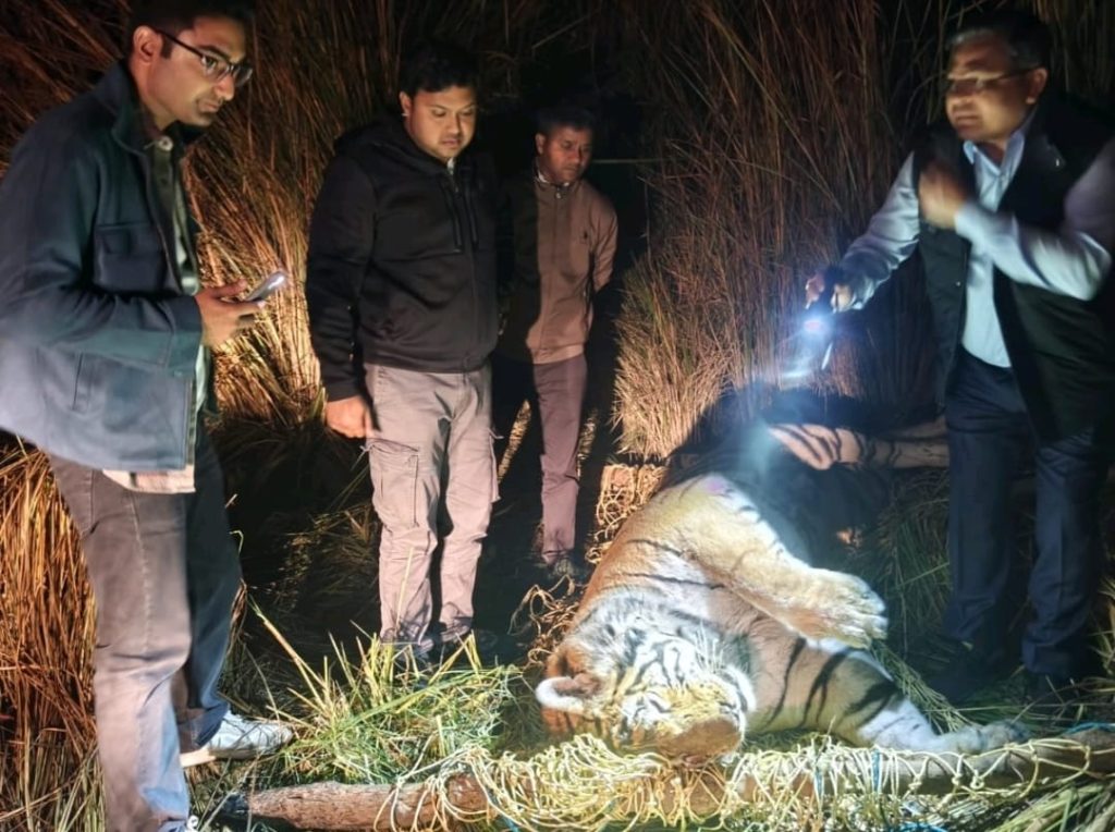 WhatsApp Image 2026-03-01 at 3.08.52 PM