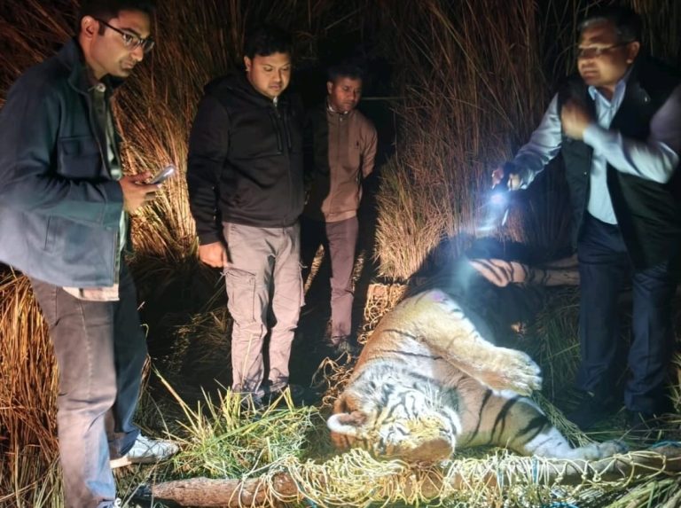 WhatsApp Image 2026-03-01 at 3.08.52 PM