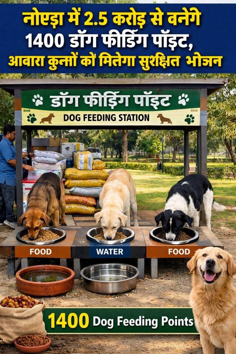 WhatsApp Image 2026-03-04 at 3.35.15 PM