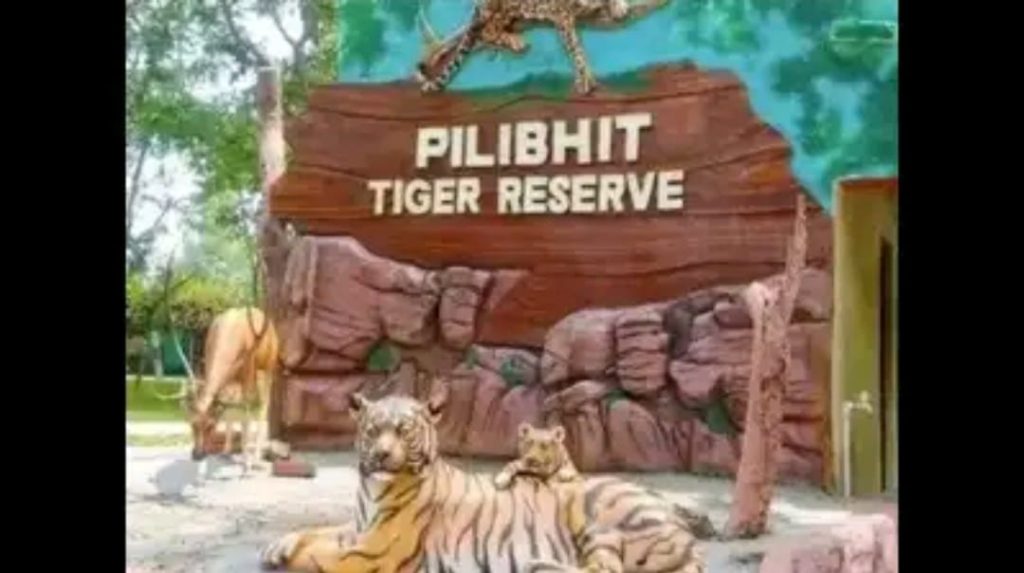 WhatsApp Image 2026-03-05 at 7.26.39 PM (1)