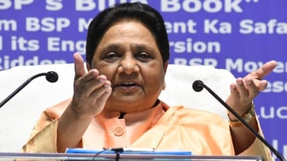 WhatsApp Image 2026-03-08 at 3.44.24 PM